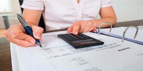 禹州财税服务公司 专业商务代理代办服务，助力企业高效运营